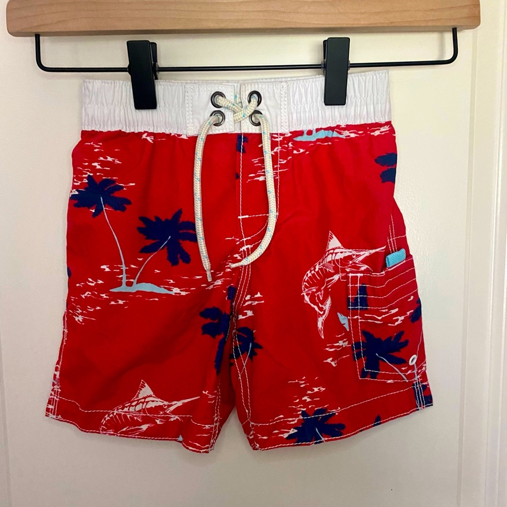 Boys Gap Swim Trunks Size 2T